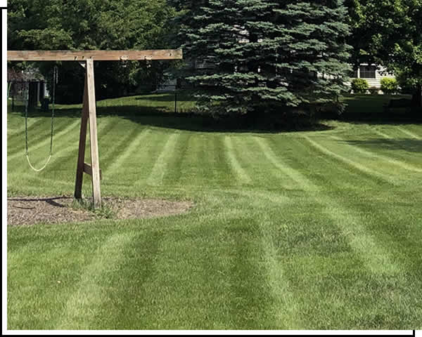 Cedar Rapids Lawn Care