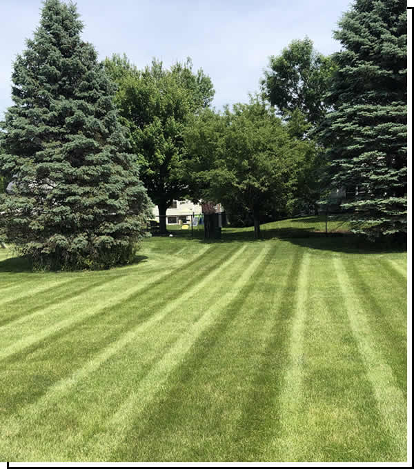 Lawn Care Services in Cedar Rapids