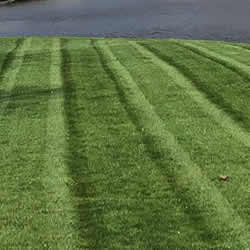 Lawn Mowing Services near me