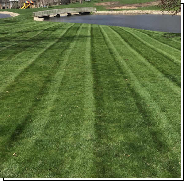 Professional Lawn Mowing Maintenance Cedar Rapids