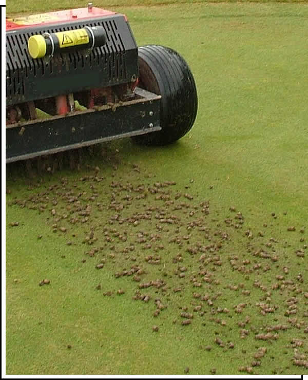 Professional Aeration and Overseeding Cedar Rapids