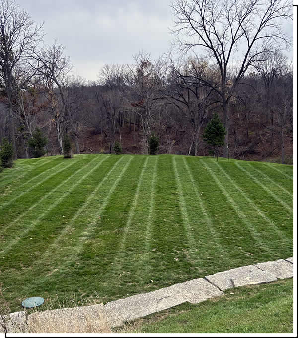 Professional Lawn Mowing Maintenance Cedar Rapids